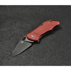 Cmb Hippo - D2 + G10